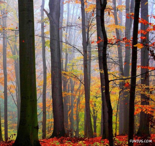 This is What We Call Autumn