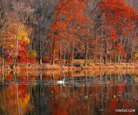 This is What We Call Autumn