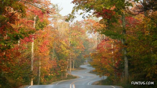 This is What We Call Autumn