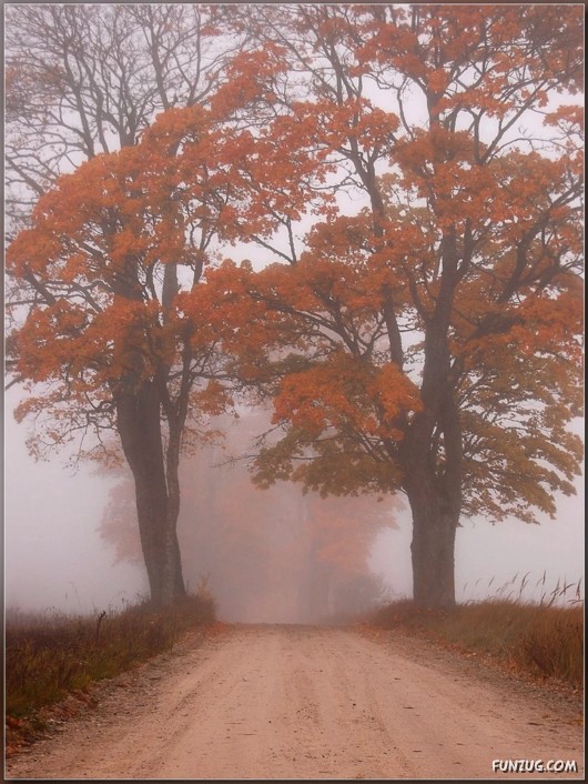 This is What We Call Autumn