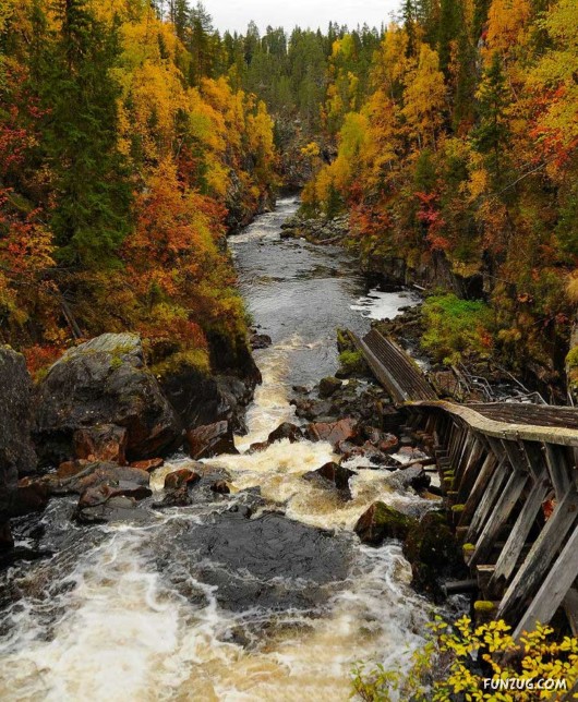 This is What We Call Autumn