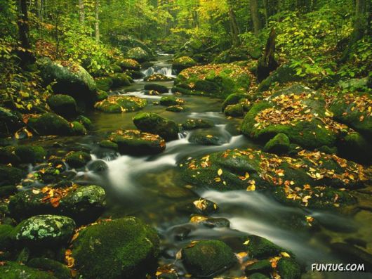 Beautiful Rivers Photography