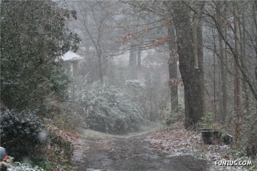 First Snow of the Season