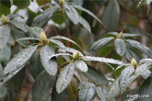 First Snow of the Season
