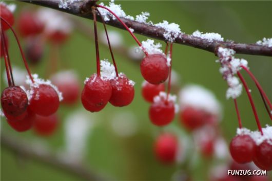 First Snow of the Season