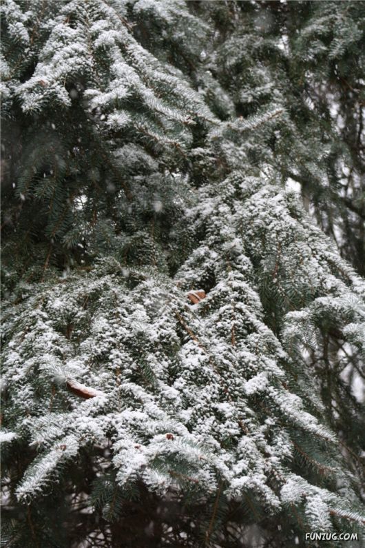 First Snow of the Season