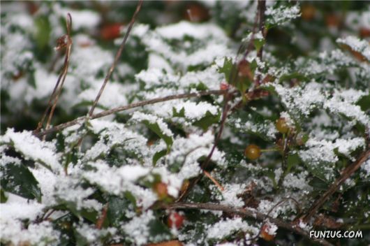 First Snow of the Season