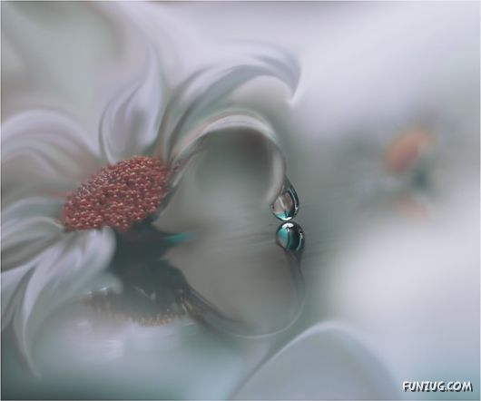 Rain Drops in Crystal Natural Touch