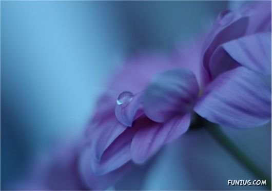 Rain Drops in Crystal Natural Touch