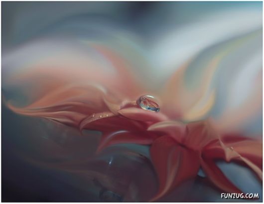 Rain Drops in Crystal Natural Touch