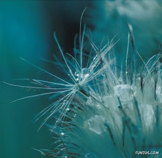 Rain Drops in Crystal Natural Touch