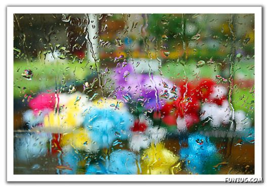 Rain Drops in Crystal Natural Touch