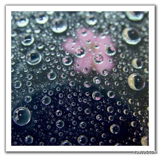 Rain Drops in Crystal Natural Touch