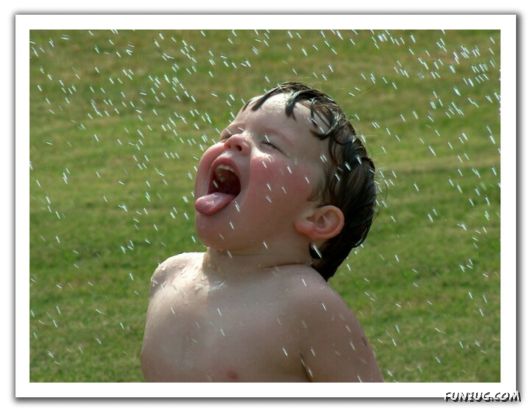 Rain Drops in Crystal Natural Touch