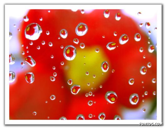 Rain Drops in Crystal Natural Touch
