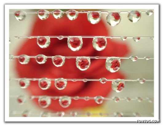 Rain Drops in Crystal Natural Touch