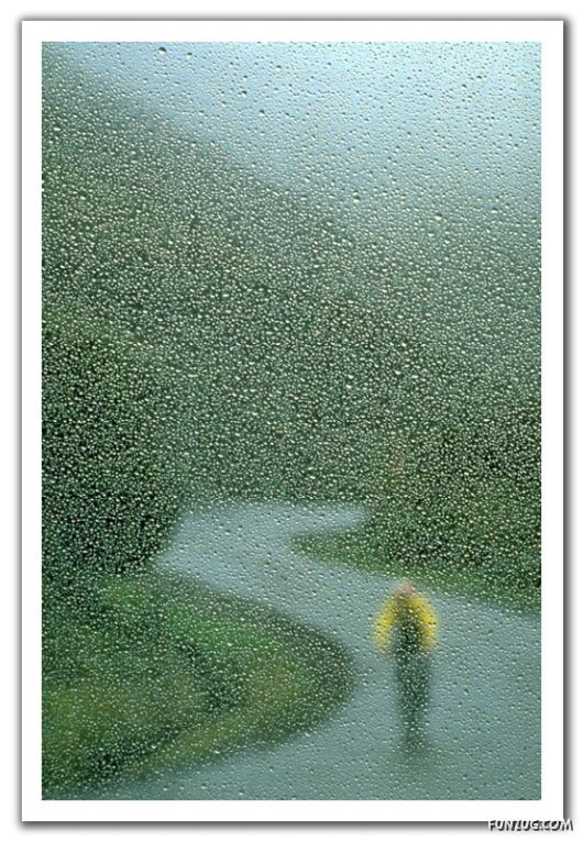 Rain Drops in Crystal Natural Touch