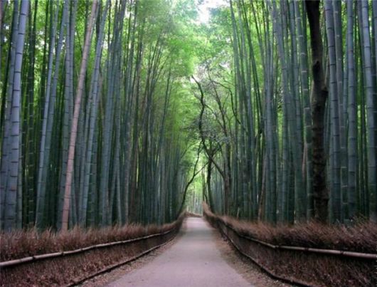 Beautiful Roads To Heaven