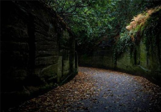 Beautiful Roads To Heaven