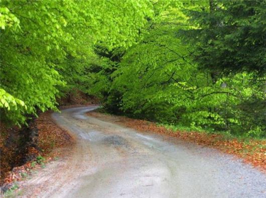 Beautiful Roads To Heaven