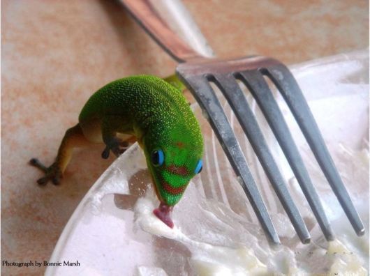 Wonderful Nature Photography