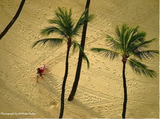 Wonderful Nature Photography