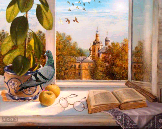 Beautiful Animated Nature