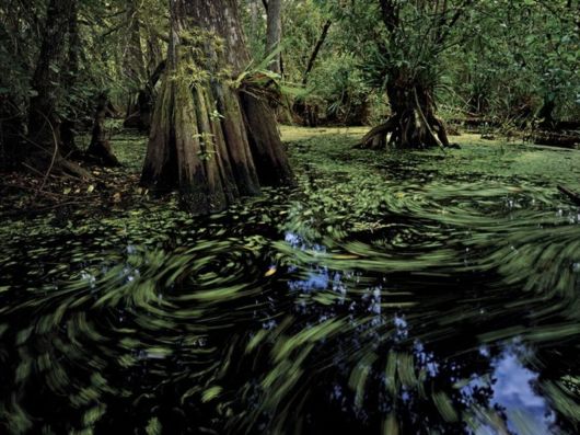 Beautiful Photos from National Geographic