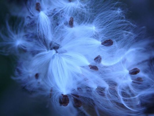 Beautiful Photos from National Geographic