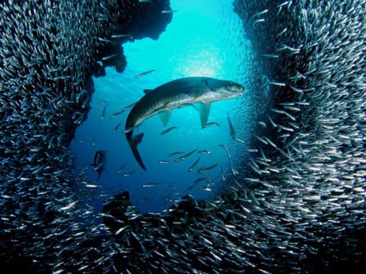 Beautiful Photos from National Geographic