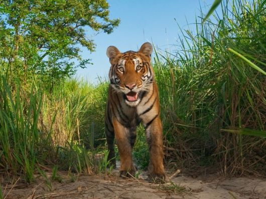 Beautiful Photos from National Geographic