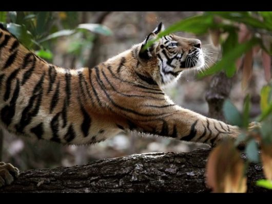 Beautiful Photos from National Geographic