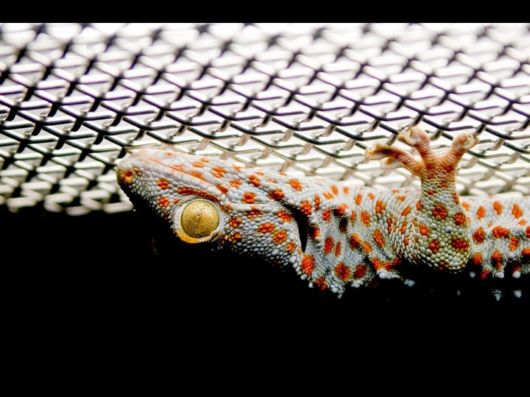 Beautiful Photos from National Geographic