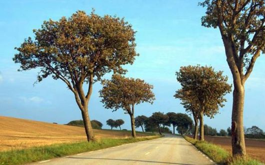 Beautiful Roads To Heaven