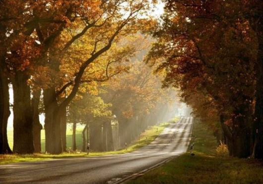 Beautiful Roads To Heaven