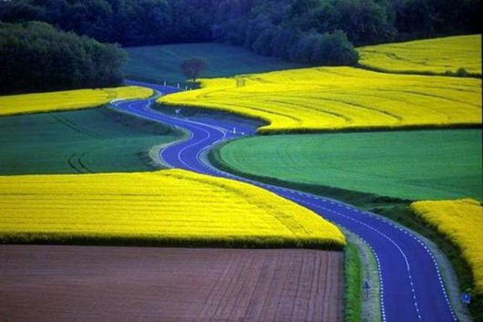 Beautiful Roads To Heaven