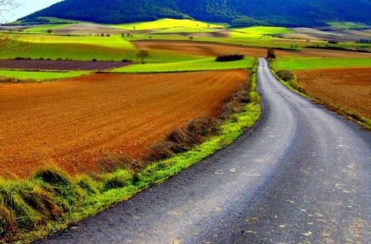 Beautiful Roads To Heaven