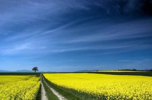 Beautiful Roads To Heaven