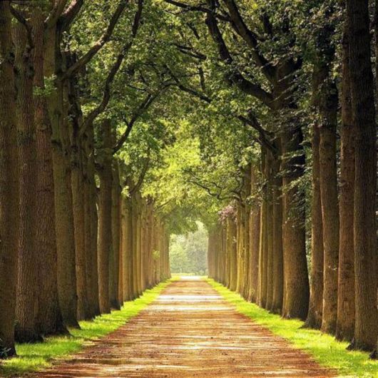 Beautiful Roads To Heaven