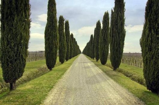 Beautiful Roads To Heaven