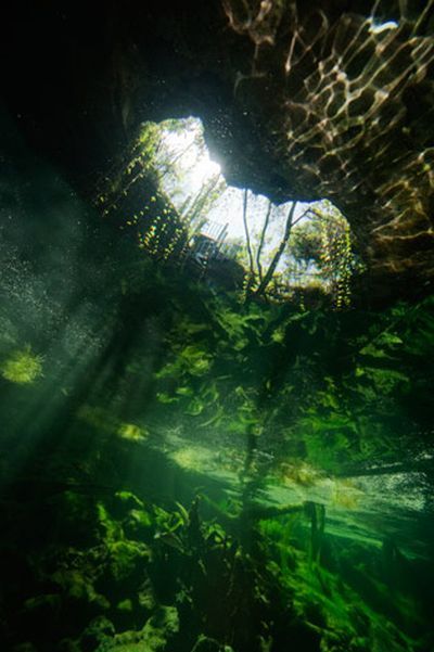 Amazing Underwater Caves In The Bahamas | Funzug.com