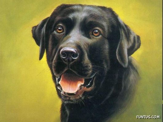 Excellent Animal Paintings