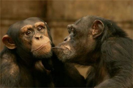 Lets eXpress LoVe in this Way