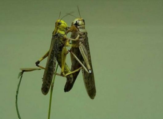 Lets eXpress LoVe in this Way