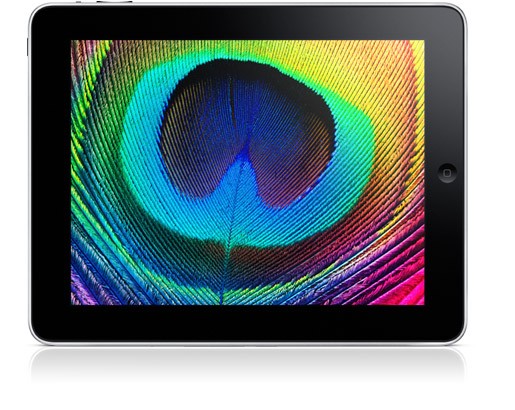 Apple iPad: The First Look!