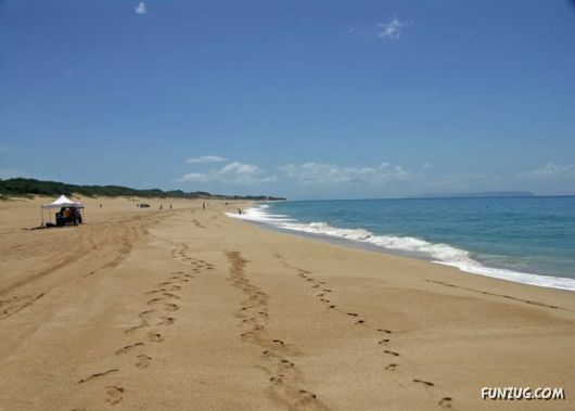 Most Beautiful Hawaii Beaches