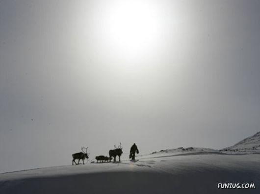 Daily Life in Lapland