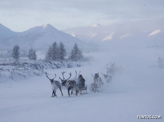 Daily Life in Lapland