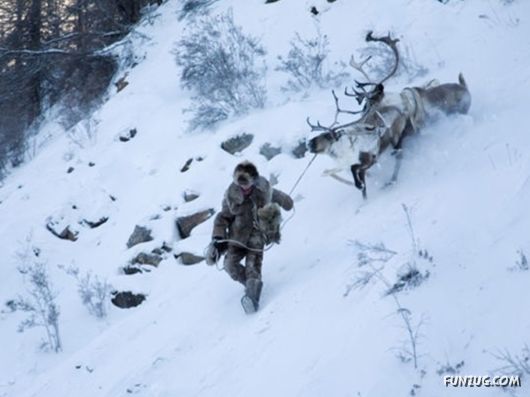 Daily Life in Lapland
