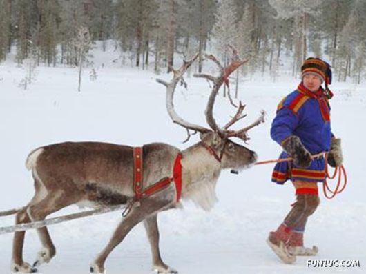 Daily Life in Lapland